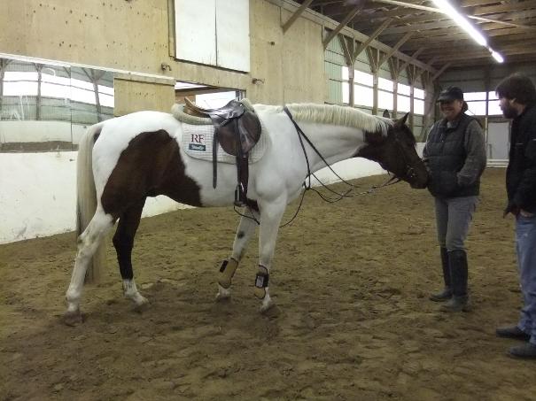 Scion Of Aries    reg. AWR and APtA.